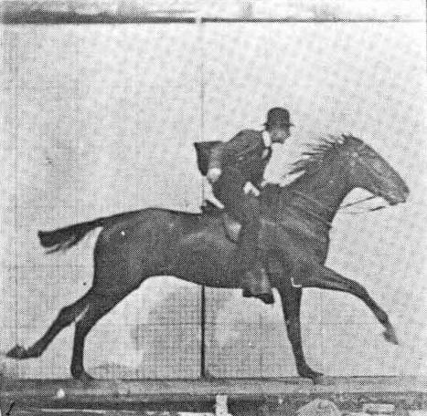 Dörtnala At (1887)