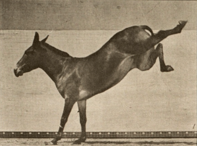 Kicking Mule (1887)