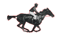 Race Horse (transparent)